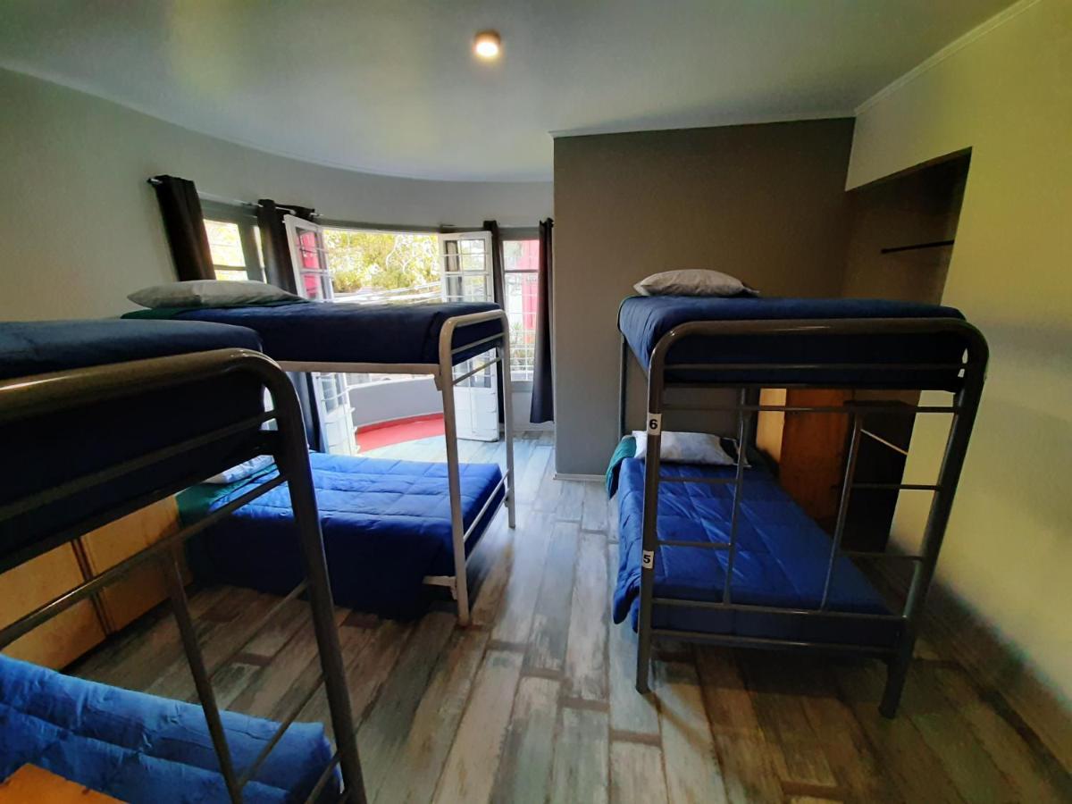 Bed 6-Bed Female Dormitory Room